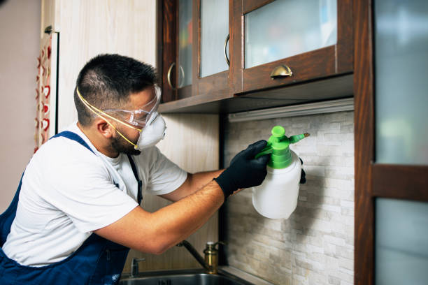 Best Residential Pest Control  in Mcminnville, OR