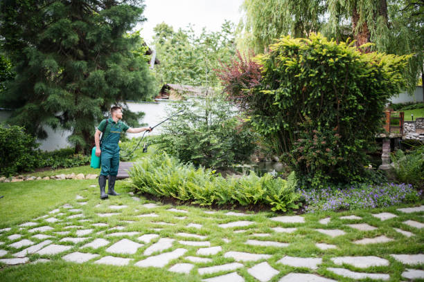 Best Ant Control Services  in Mcminnville, OR