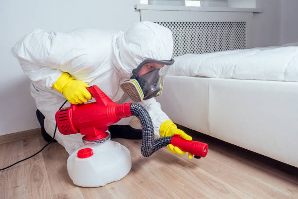 Best Termite Control Services  in Mcminnville, OR