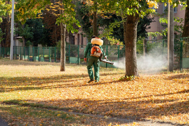 Best Local Pest Control Services  in Mcminnville, OR