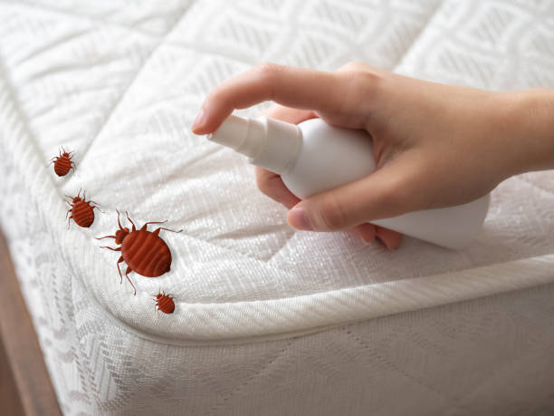 Professional Pest Control in Mcminnville, OR