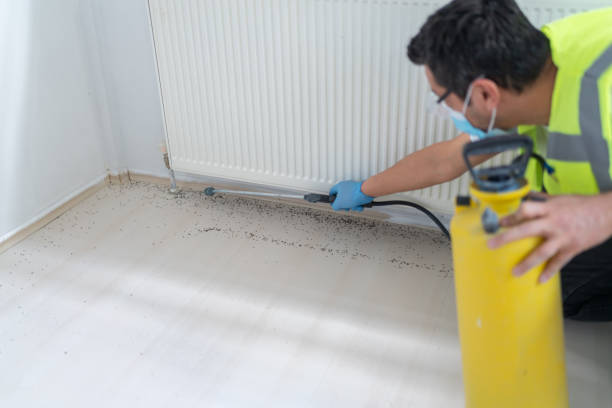 Best Exterminator Services  in Mcminnville, OR